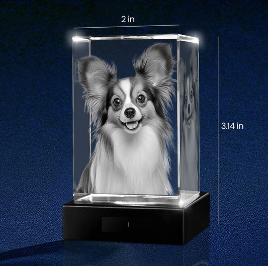 Rectangular 3D Crystal - 3d crystal forever